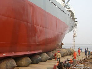 牛下水報(bào)價 廠家